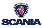 Marca 6